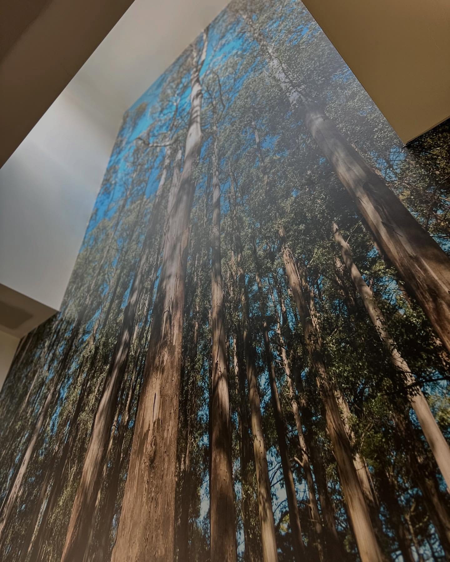 Six-metre forest photographic wall wrap